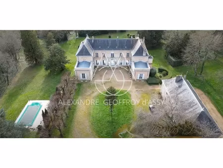 château à vendre à jazeneuil