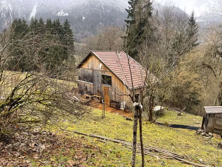 chalet sur 6000m2 de terrain + pc pour création d'un 2nd cha