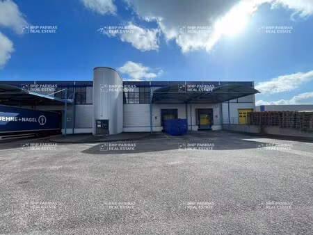 location entrepôt 2 128 m²