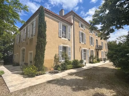 château à vendre à mouchan