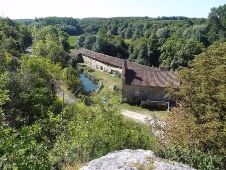 château à vendre à puymoyen