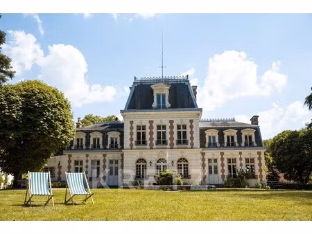 château à vendre à montrichard