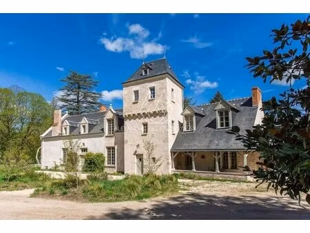 château à vendre à cellettes