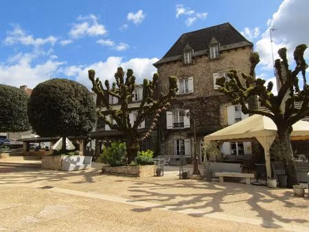 vente locaux professionnels 25 pièces 360 m² à les eyzies-de-tayac-sireuil (24620)  305 00