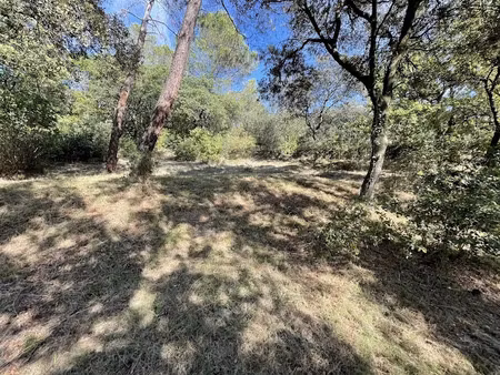 vente terrain 3474 m² à piolenc (84420)  348 000 €