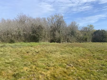 vente terrain à brem-sur-mer (85470) : à vendre / 913m² brem-sur-mer