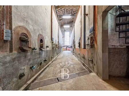 propriété viticole à vendre à capendu