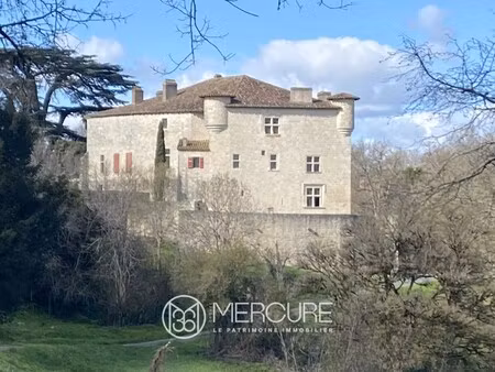 château à vendre à engayrac