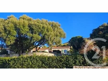 maison de luxe à vendre à oletta