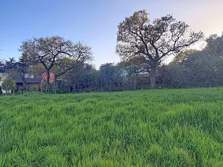 terrain saint michel chef chef