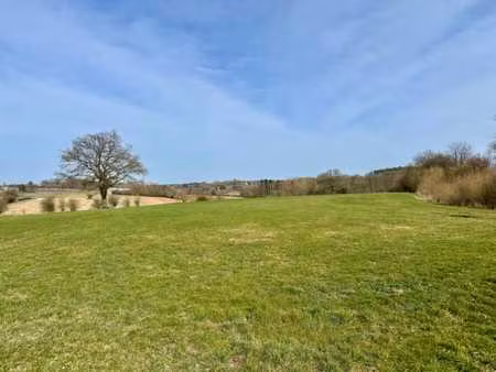 louveigne - parcelle/prairie de 5.876m²