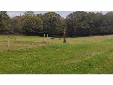 vente terrain à calan (56240) : à vendre / calan