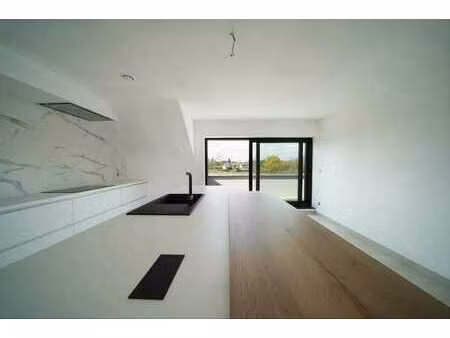 superbe penthouse 2 chambres avec 3 terrasses