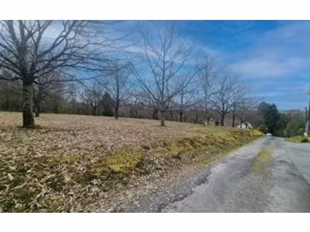 terrain saint-yrieix-la-perche m² t- à vendre  29 000 €