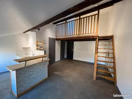 appt. f1 de 31m2 hyper centre ville