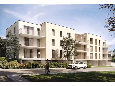 vente appartement 4 pièces 80 m² neuves-maisons (54230)