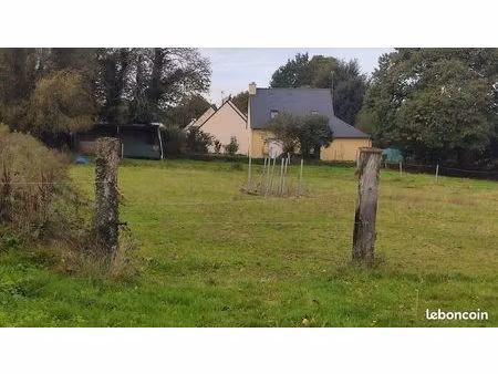 terrain constructible