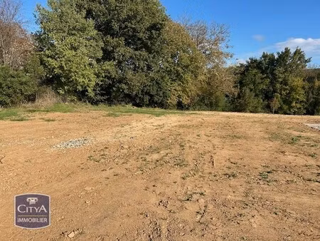 terrain