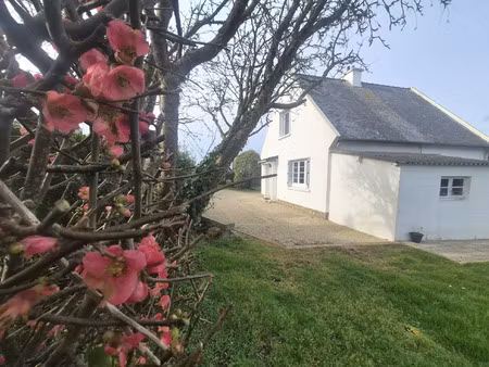 location maison pour les vacances 4 pièces 82 m² trébeurden (22560)