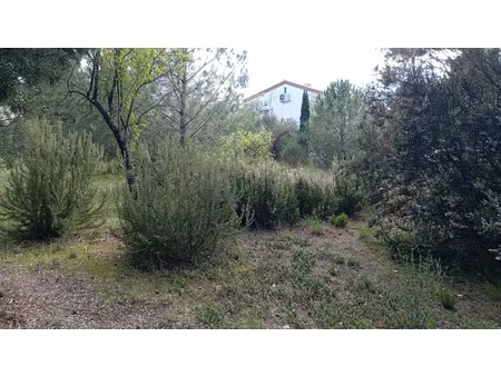 terrain à vendre le boulou 1078m2 160 000€
