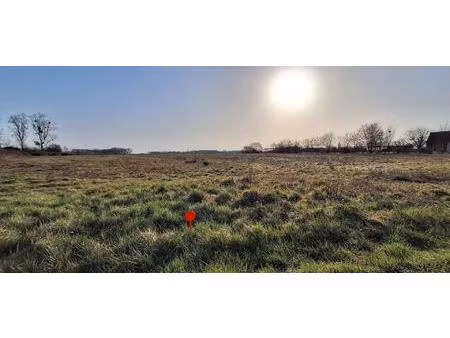 terrain à batir soings en sologne 6000 m²