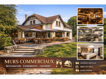 local professionnel à vendre bourges 6 pièce(s) 285m2 251 850€