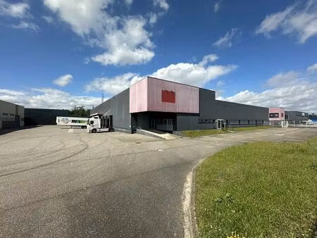 location entrepôt illkirch graffenstaden 67400 3815m²