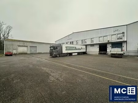 location entrepôt strasbourg 67100 551m² à 5644m²