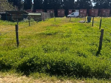 terrain à louer pour culture ou animaux