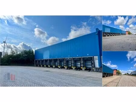 surface industrielle à louer à geleenlaan 12 genk (rbv60681)