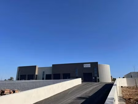 vente local d’activités saint-georges-d’orques 34680 132m² à 1486m²