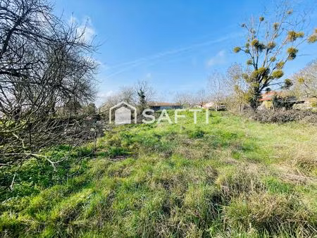 terrain borné  constructible et non viabilisé