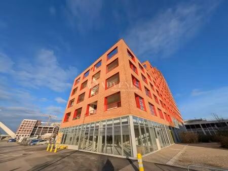 location commerce 228 m²