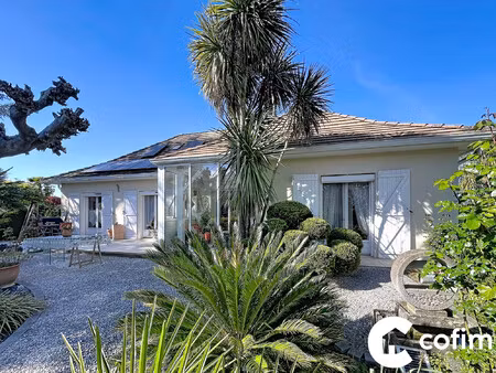 nouveauté haut de lons en parfait état