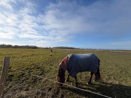 à vendre : terrain non constructible de 3 000 m²