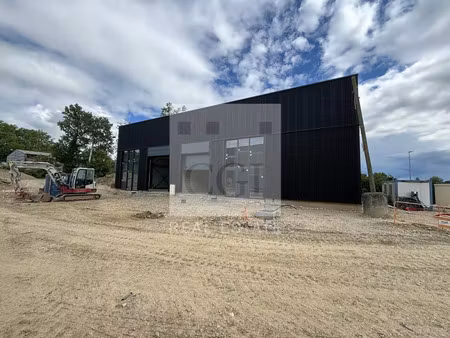 location commerce 223 m² à trévoux (01600)