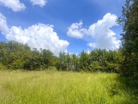 vente terrain 989 m² saint-lions (04330)