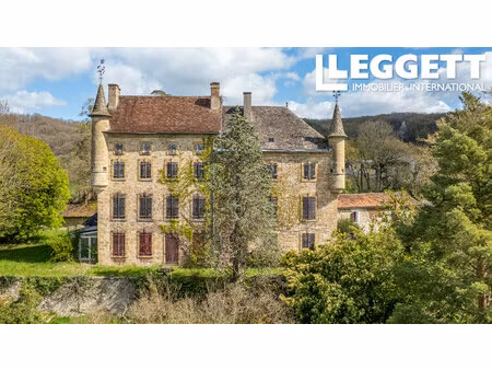 achat maison 20 pièces 700m² st cere 46400