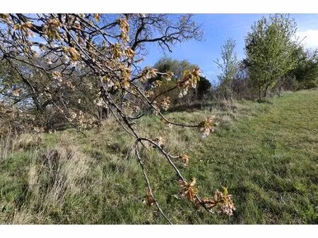 achat terrain 1 384m² durtol 63830