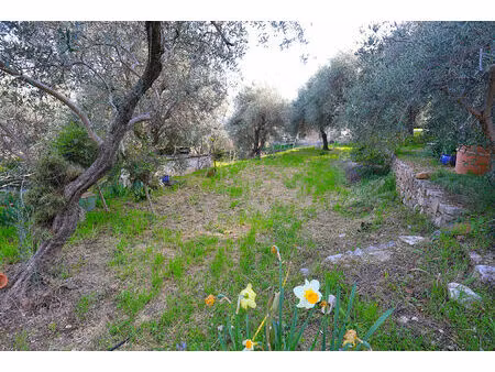 achat terrain 1 392m²