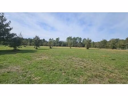 terrain constructible de 1 ha 19a 69ca