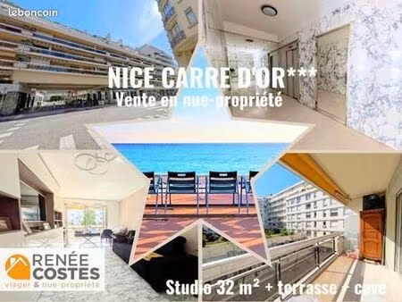 appartement en viager 1 pièce 32 m²