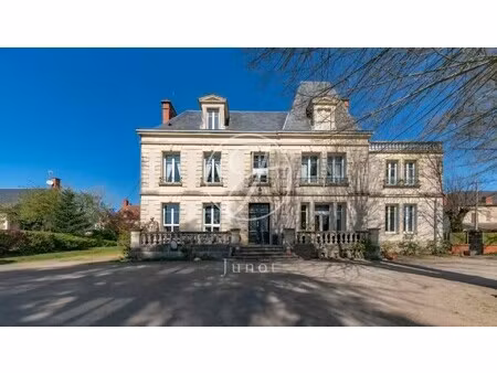 hôtel particulier à vendre à saint-amand-montrond : 957 400 € | 844m²