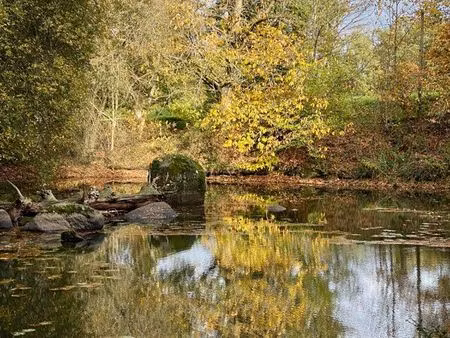 terrain de loisirs avec étang et cabane