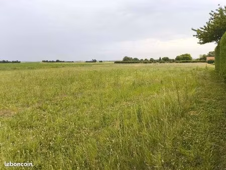 terrain 2 500 m² jarnac champagne