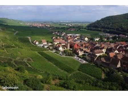 recherche terrain secteur vignoble kaysersberg