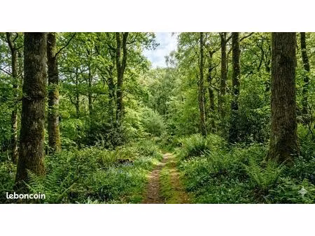 recherche parcelles boisées  bois  forêts