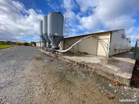 bien agricole 1193 m² la baconnière