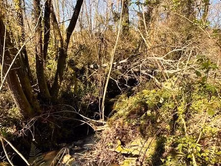 parcelle boisée 3468m2 zone naturelle