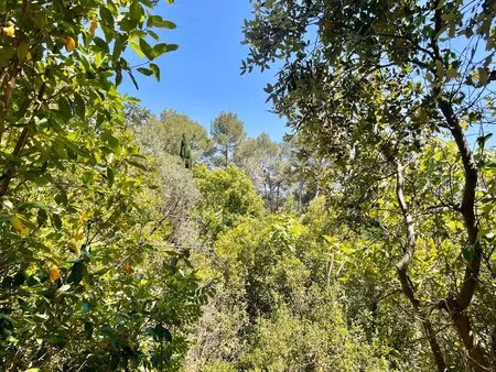 terrain d'exception plan des quatre seigneurs  montpellier